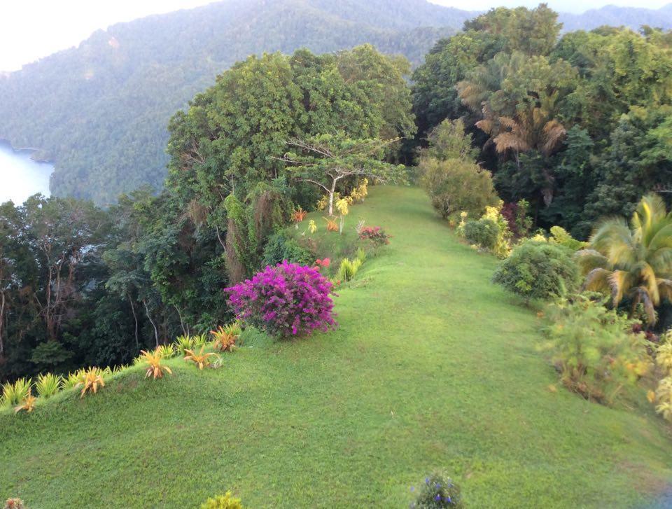 Mahogany Ridge Ξενοδοχείο Arouca Εξωτερικό φωτογραφία