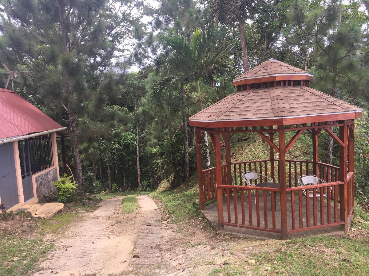 Mahogany Ridge Ξενοδοχείο Arouca Εξωτερικό φωτογραφία